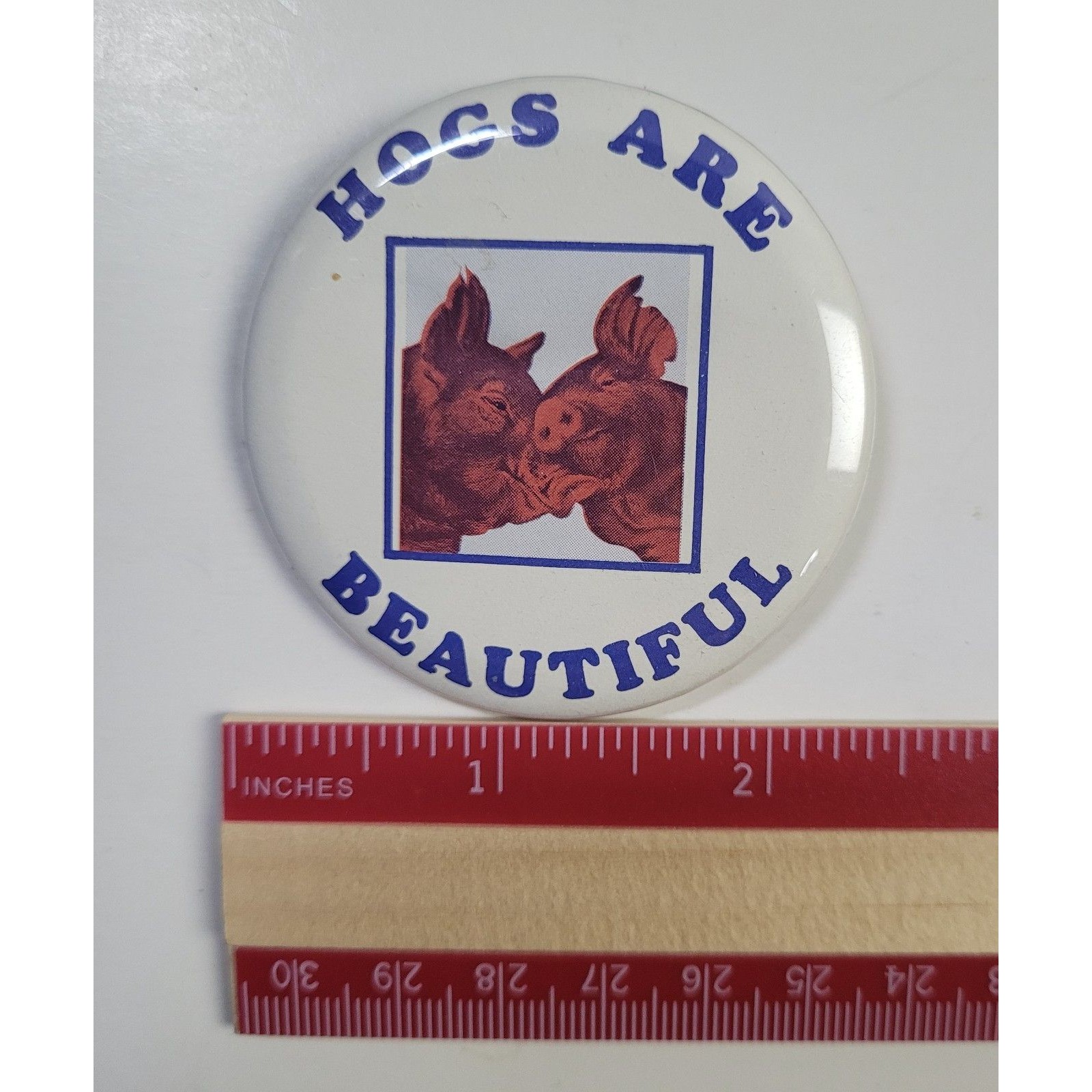 Vintage Hogs Are Beautiful Pinback Button